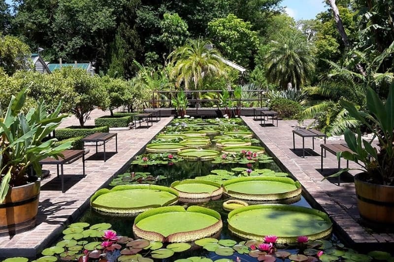 4 Stellenbosch Gardens You Definitely Should See!