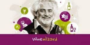 top wine blogs south africa