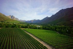 Things To Do In Stellenbosch - lanzerac wine estate