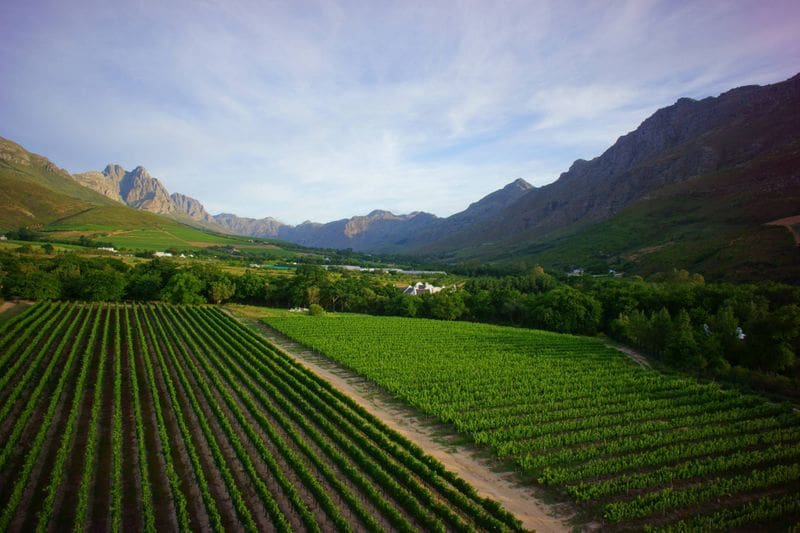 Things To Do In Stellenbosch - lanzerac wine estate