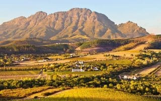 stellenbosch restaurants - lanzerac wine estate