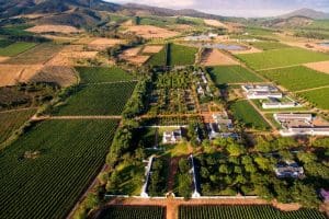 4 Stellenbosch Gardens You Definitely Should See!
