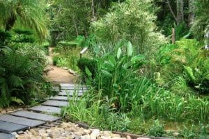 4 Stellenbosch Gardens You Definitely Should See!