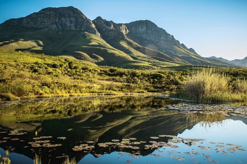 7 Nature Reserves In Stellenbosch You Can Visit - helderberg nature reserve