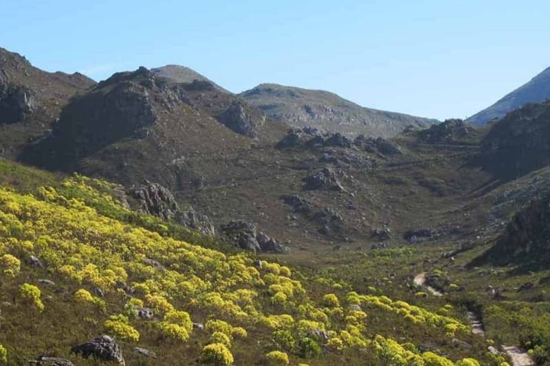 7 Nature Reserves In Stellenbosch You Can Visit - Hottentots Holland