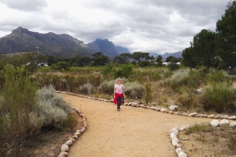 7 Nature Reserves In Stellenbosch You Can Visit - jan marais nature reserve