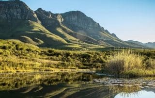 7 Nature Reserves In Stellenbosch You Can Visit - lanzerac wine estate