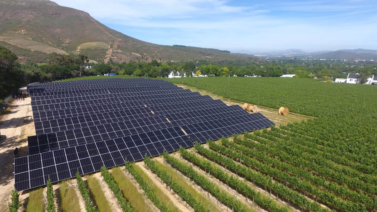 Large ground-mounted solar panel array installed next to a vineyard with a scenic mountain background.